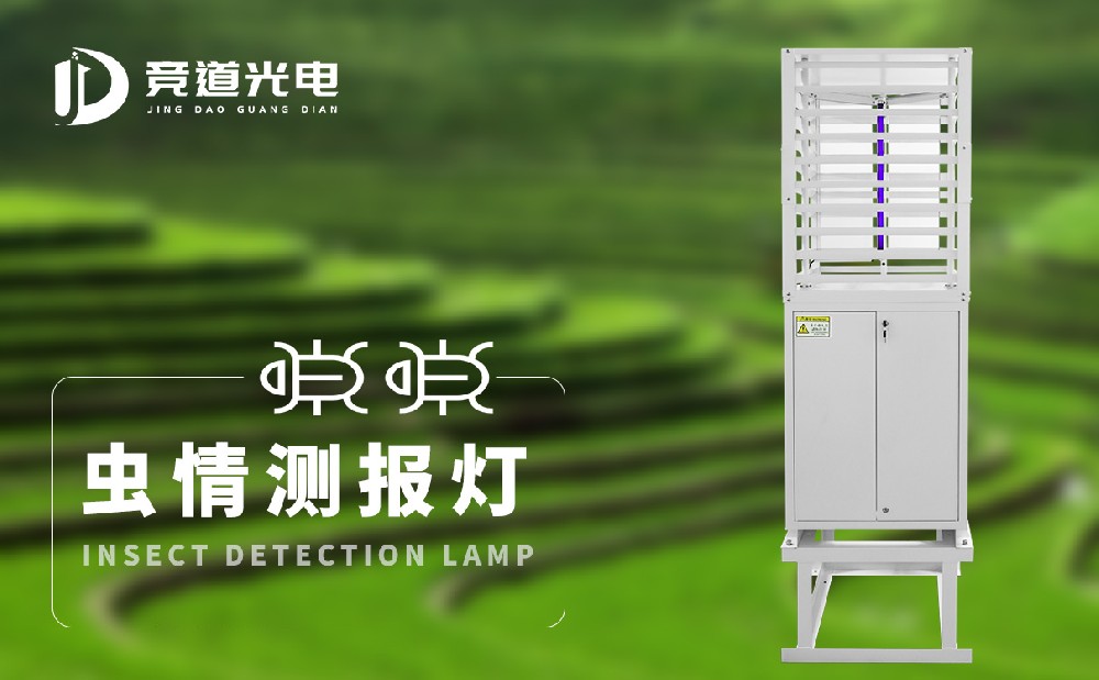 ����ⱨ��