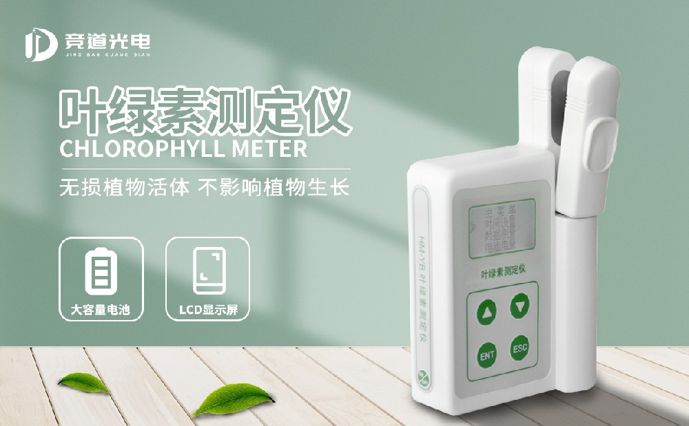 ʹ��Ҷ���زⶨ�ǰ���ֲ��ɳ����