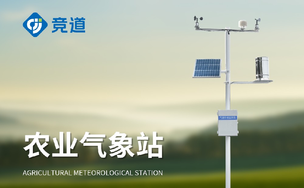 ����������վ���ô��ﻷ������