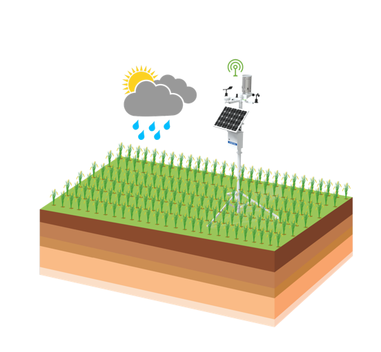 Ҽ������(EDF)���¹ٷ���վ