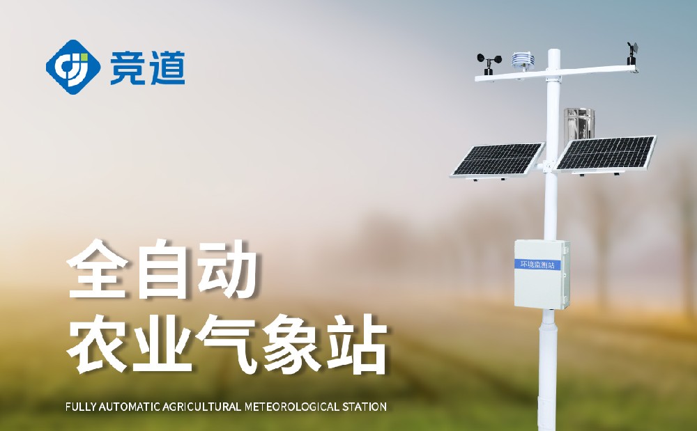 ũҵ����վ����ѡ��ɽ��Ҽ����