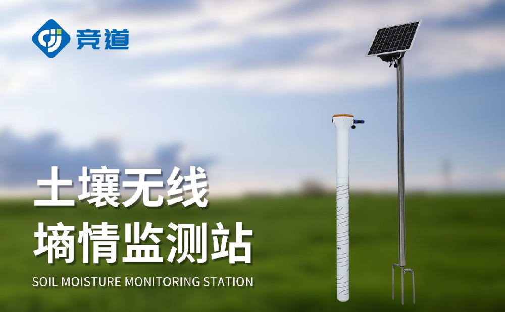 �̶�ʽ���������Զ����վ