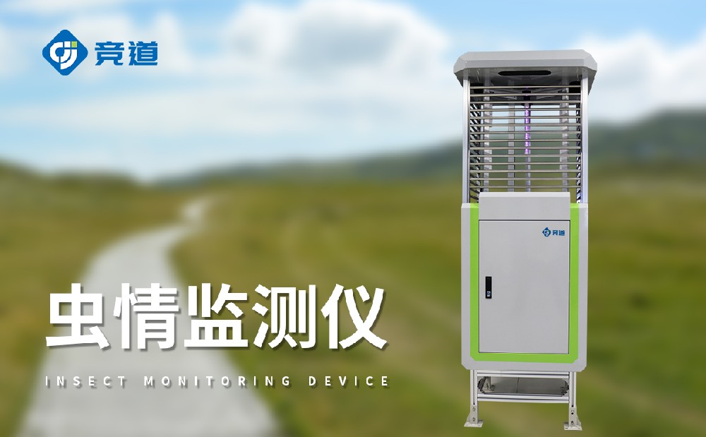 ����ⱨ��