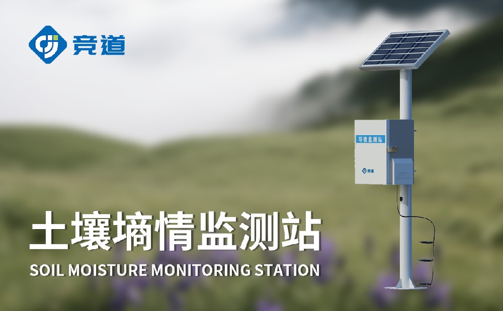 �����������ǲɼ��������������������׼�������