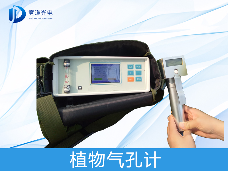 ֲ�����׼���ʲô��