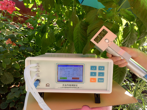 ֲ���������к�������