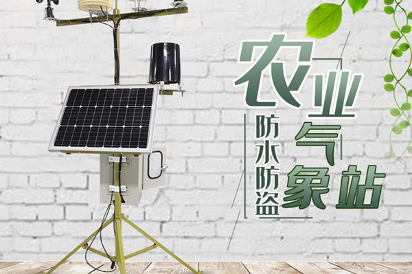 田间形象站 田间形象站