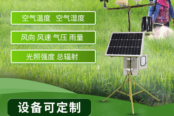 幼型形象站 幼型形象站