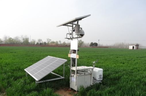 ����׽����������������վ���ǻ�ũҵ