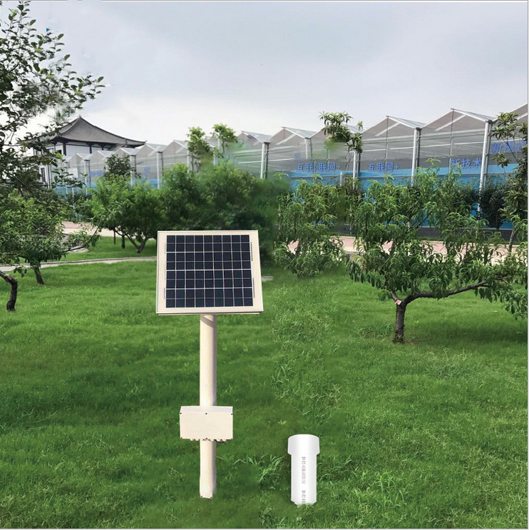 ��ʽ���������������������