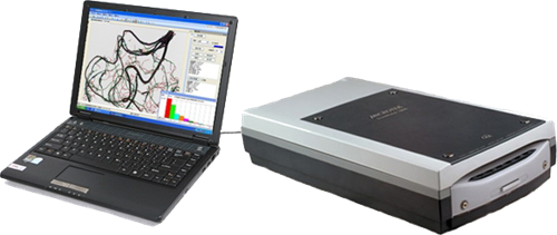 ֲ���ϵ����ϵͳ