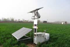 ����׽�ü�¼��������