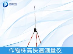 �������������ʲô����������������