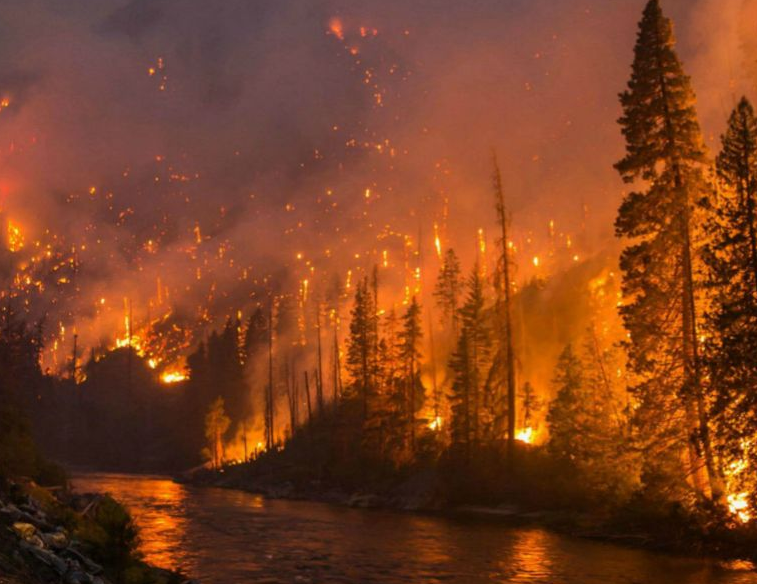 ���ַ���