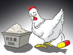 ʳƷ�����ز�����������μ����