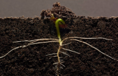 ΪʲôҪ���������л��ʼ����