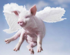 ���������׻������÷��������ļ�⹤����